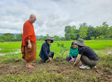 สำนักงานสหกรณ์จังหวัดเชียงราย จัดกิจกรรมปลูกพืชสมุนไพร ... พารามิเตอร์รูปภาพ 21